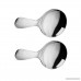 Homyl 2pcs Mini Stainless Steel Spoons Small Salt Spoons Sugar Condiments Spoons - B078X9LQZN
